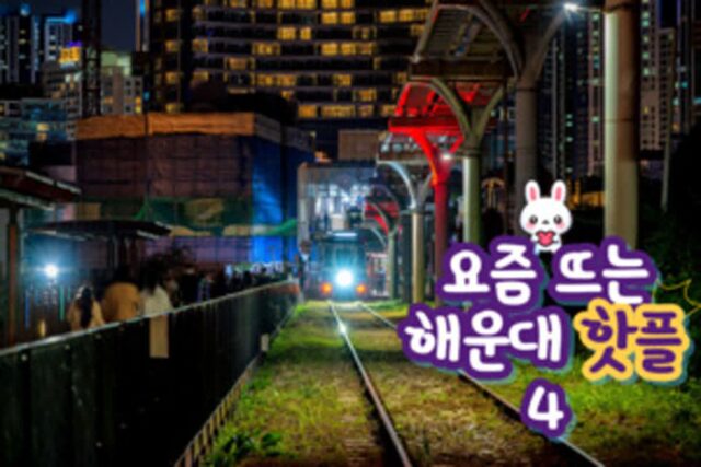 해운대 놀거리 베스트 4 천연 온천도 즐기고 오션뷰 모노레일도 즐기자!(+선셋 요트투어까지?)