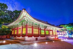 “600년 역사의 화려한 변신”… 무료로 즐기는 새로운 ‘서울 야경’ 명소