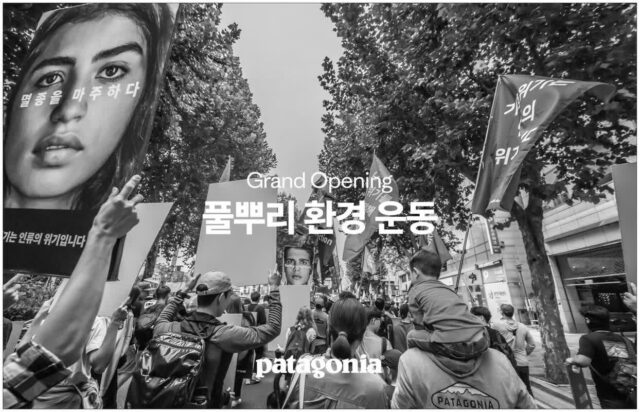 파타고니아, 환경 보호를 위한 새로운 플랫폼… 누구나 쉽게 참여하는 방법