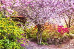 “입장료 없이도 충분히 아름답다”… 산수유·겹벚꽃·철쭉 한 곳에서 즐기는 무료 봄꽃 여행지