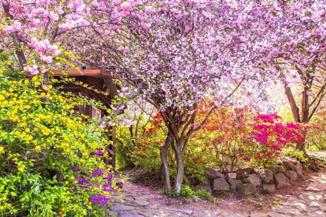“입장료 없이도 충분히 아름답다”… 산수유·겹벚꽃·철쭉 한 곳에서 즐기는 무료 봄꽃 여행지