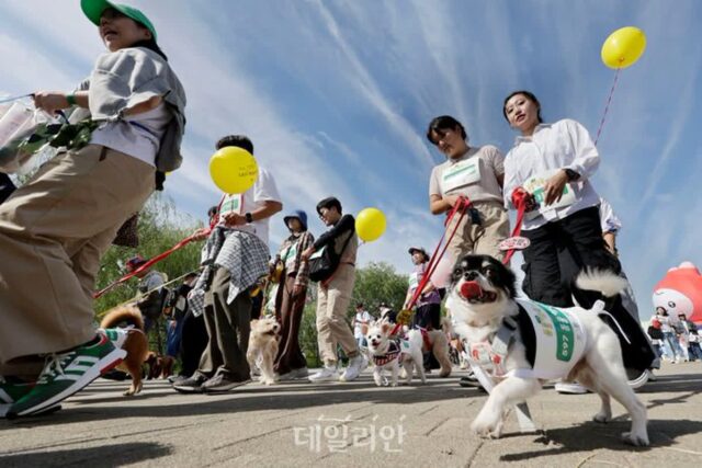 동물 유기행위 관련 법령 정비…동물복지 사회적 공감대 확산 노력[D:로그인]
