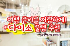 다이소 꿀템으로 완성하는 해외여행 준비물 여덟 가지!! (+꼭 챙겨가 보세요!)
