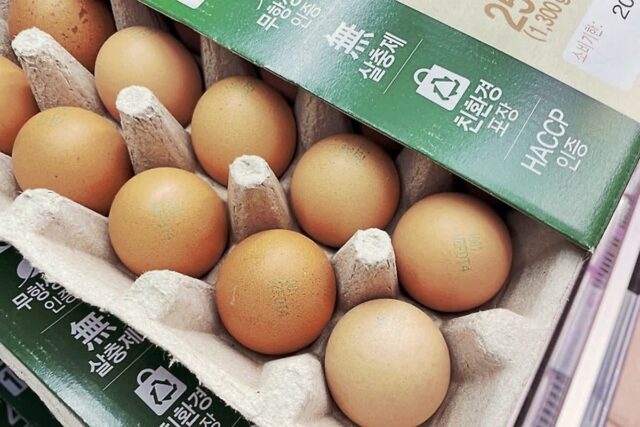마트에서 계란 살 때 ‘이것’ 모르고 무조껀 사지 마세요! 나만 손해입니다~