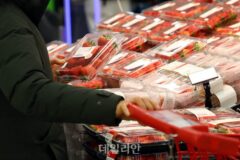 2017년 시작된 검역협상 결실…국산 딸기 브라질 수출 길 열려