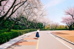 벚꽃 개화 시기에 맞춰 환상의 벚꽃이 펼쳐지는 숨은 국내 여행지 3곳 추천