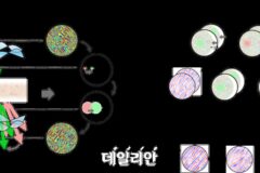 KAIST, 췌장 등 생체조직 고해상도 홀로토모그래피 성공
