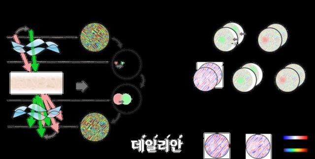 KAIST, 췌장 등 생체조직 고해상도 홀로토모그래피 성공