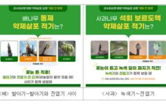 농진청 “사과·배 개화전 과수화상병 방제 필수”
