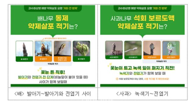 농진청 “사과·배 개화전 과수화상병 방제 필수”