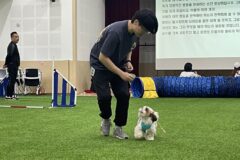 경기도 반려마루(여주), ‘2025 반려동물 정규교육’ 실시