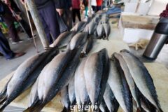 수산물 생산량 전년 대비 2.2%↓… 고수온, 고유가 영향