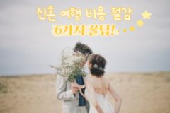 신혼 여행 비용 절감 꿀팁, 행복은 UP! 비용은 DOWN! (+예비부부 꿀팁)