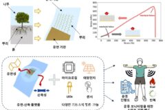 KAIST, 기존 한계 극복한 생체 모사 인터페이스 설계 개발