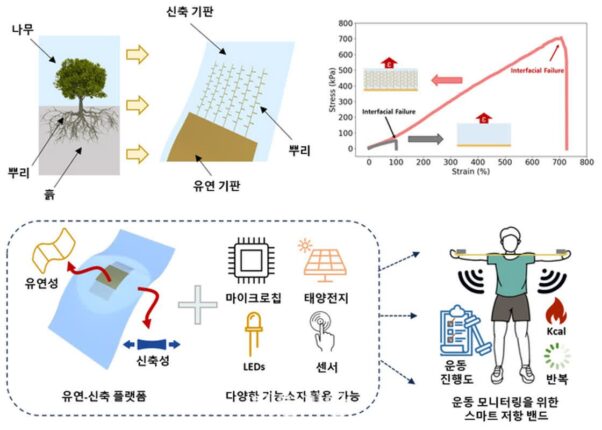 KAIST, 기존 한계 극복한 생체 모사 인터페이스 설계 개발