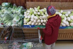 배추·무 가격 ‘들썩’…외식물가 상승세도 지속