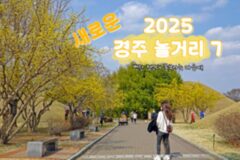 경주 놀거리, 뻔한 경주 여행 말고 조금 더 새로운 경주 가볼 만한 곳 추천(+경주 카페)