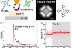 GIST, 빛 이용한 초고속 전하 조작…단일 분자 양자 상태 실시간 제어 성공
