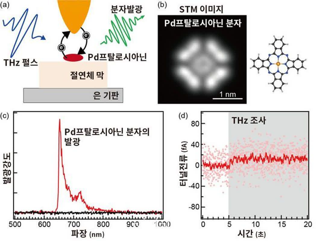 GIST, 빛 이용한 초고속 전하 조작…단일 분자 양자 상태 실시간 제어 성공 | 데일리안