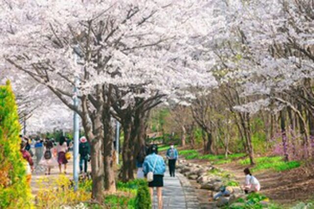 한국관광 데이터랩, 지역별 국내 여행지 추천 TOP 9 (서울 명소, 경기도 가볼만한곳)