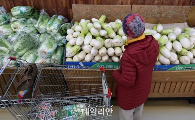 배추 비축물량 일 100t 도매시장 방출…무는 도매가격 70% 수준에 대형마트 공급