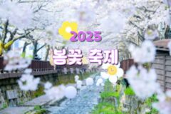 봄꽃 축제, 놓치면 후회할 2025년 전국 꽃 구경 명소 베스트 5