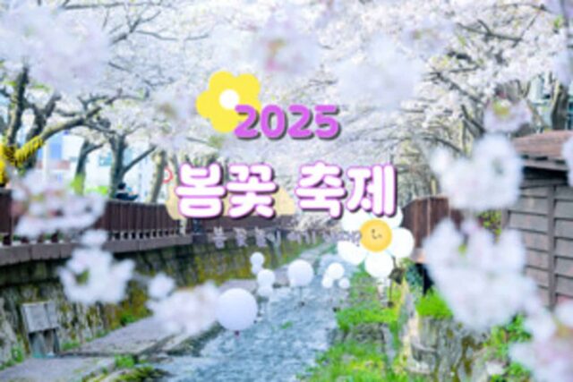 봄꽃 축제, 놓치면 후회할 2025년 전국 꽃 구경 명소 베스트 5