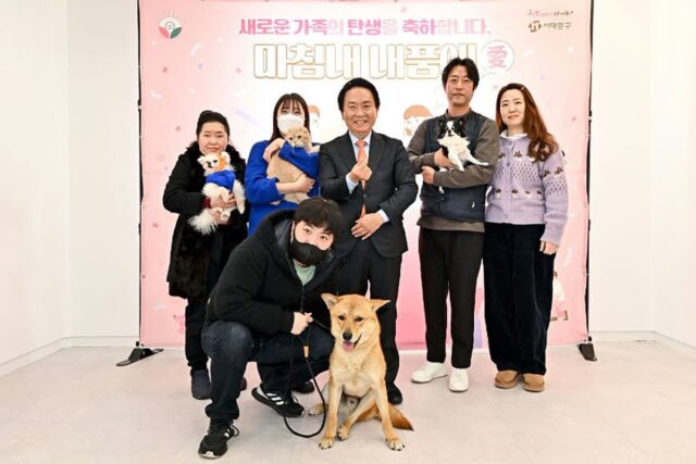 서대문구, 유기동물 입양비&내장형 동물등록비용 지원한다