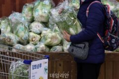 소비자물가 2%대 내수시장 ‘휘청’