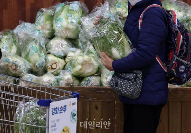 소비자물가 2%대 내수시장 ‘휘청’