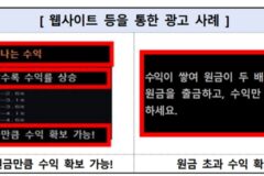 “매일 수익금 드려요”…금감원, 신종 가상자산 폰지사기 주의보