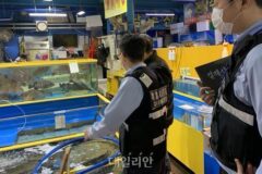 해수부, 10일부터 수입 수산물 원산지 표시 특별점검