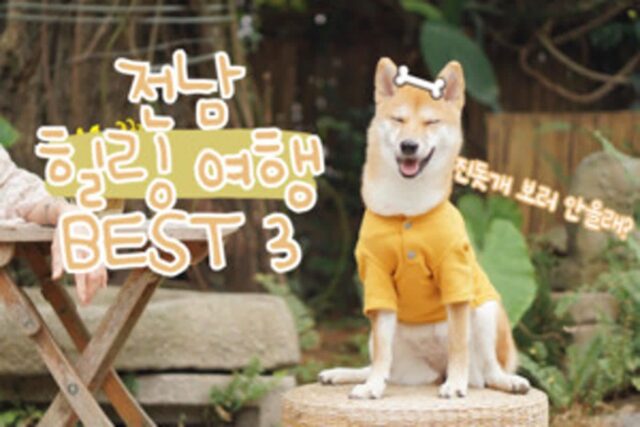전남 가볼 만한 곳, 섬 & 바다 남도 힐링 여행 베스트 3