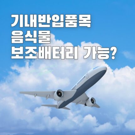 기내반입금지 품목 음식 보조배터리 등 총정리