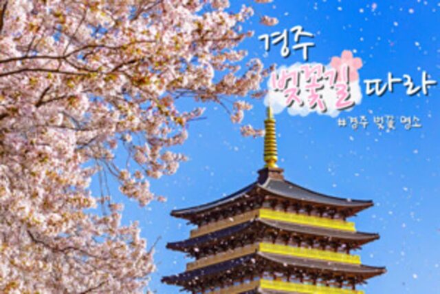 경주 벚꽃길 따라~언제 가도 좋은 경주 여행에서 찾은 벚꽃 명소 4