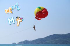 MT로 떠나기 좋은 1박 2일 여행지! 힐링, 버라이어티가 가득한 한국 여행~