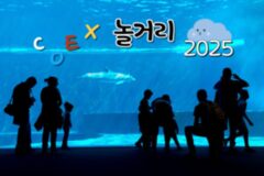 코엑스 놀거리, 강남 핫플을 단 한 곳에서 즐겨보자!(스타필드 코엑스)
