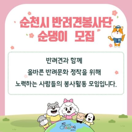 순천시, 반려견봉사단 ‘순댕이’ 오는 17일까지 모집