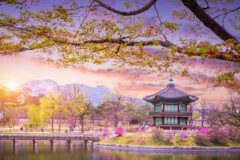 “게임 속 그곳 직접 간다”… 누적 5000만 명이 즐긴 게임, 색다른 테마 여행으로 탄생