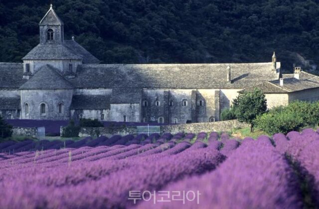 프랑스 여행, 이곳만큼은 꼭 가봐야 한다! 베스트 명소는?