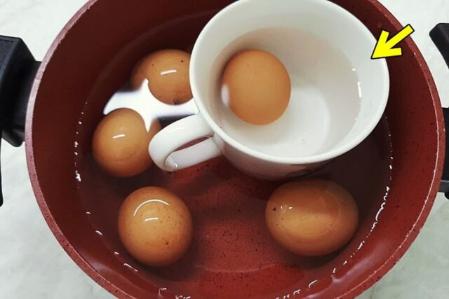 계란 삶을 때 그냥 삶지 마세요! 머그컵을 넣었더니 효과 대박입니다~