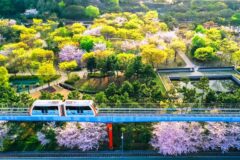 “서울 보다 더 예쁘잖아?”… 꽃과 바다가 어우러진 서울근교 봄 나들이 명소