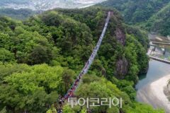 원주의 봄 만끽하러 어디로 떠나볼까?