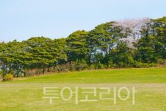 땅끝마을에서 맞이하는 봄날, 해남 여행 어떨까?