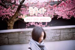 문수사, 충남 서산 겹벚꽃 터널의 황홀한 풍경에 취하다