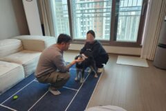 구로구, 반려견 행동교정 교육 ‘찾아가는 펫마스터’ 참여 가구 20팀 모집