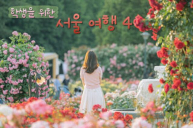 서울 학생 놀만한 곳, 청춘의 발걸음에 맞춘 서울 여행 베스트 4