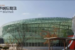 경주 아이와 가볼만한곳, 동물원과 테마파크 추천 명소는?