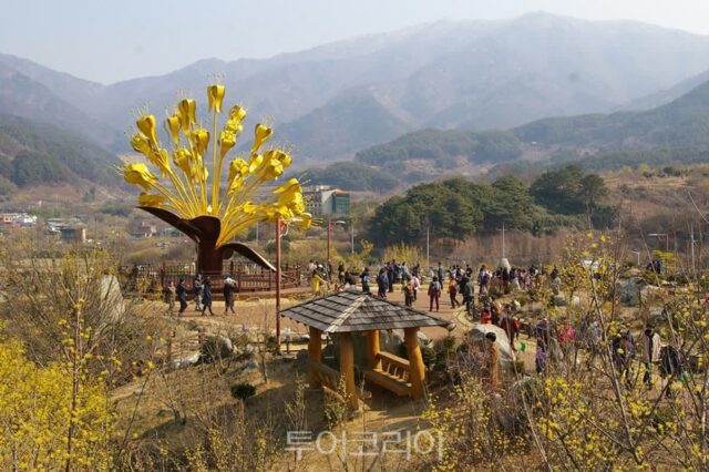 구례산수유축제에서 맛집까지, 완벽한 하루 코스는?