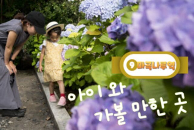 마곡나루역 근처 아이와 가볼 만한 곳, 서울 관광지 추천